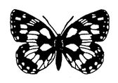 Logo AG Rheinisch-Westfälischer Lepidopterologen